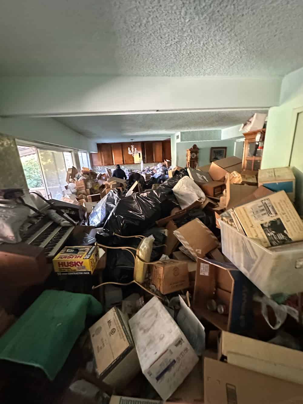 Hoarder Clean Up image