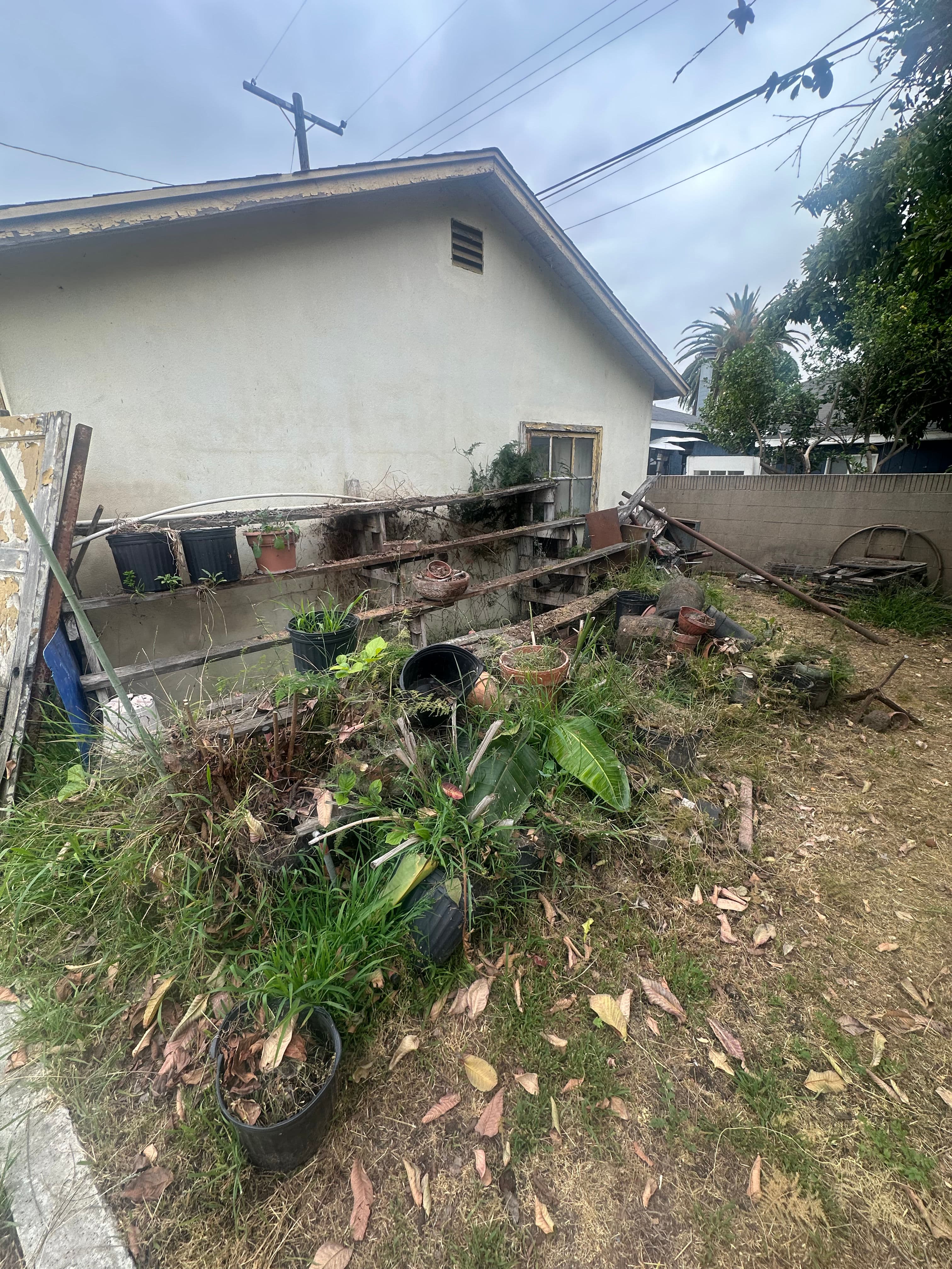 Overgrown garden area with potted plants and yard debris near a house and power lines.