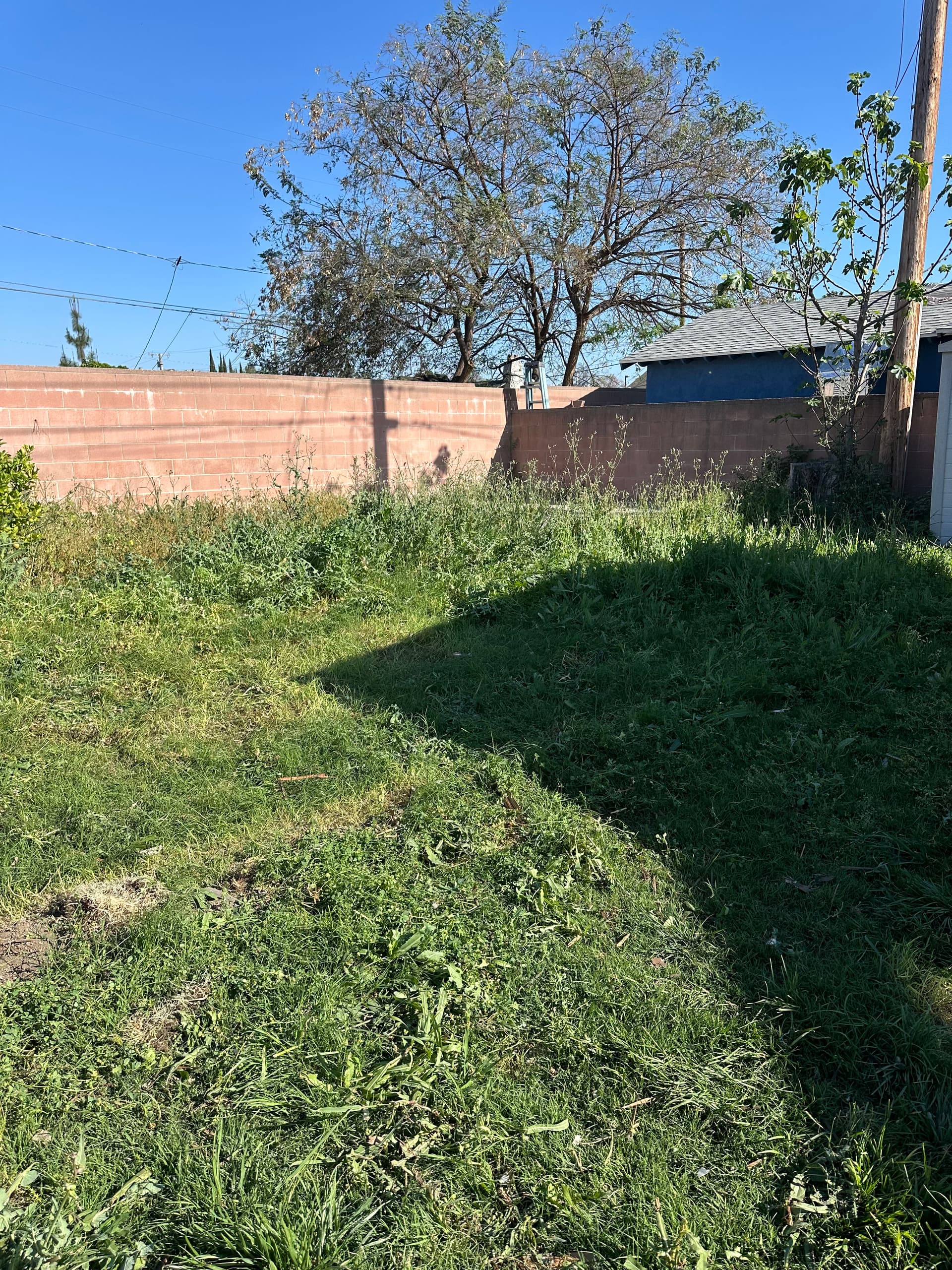 Gallery photos for Junk Removal Project in Norwalk: Image #1