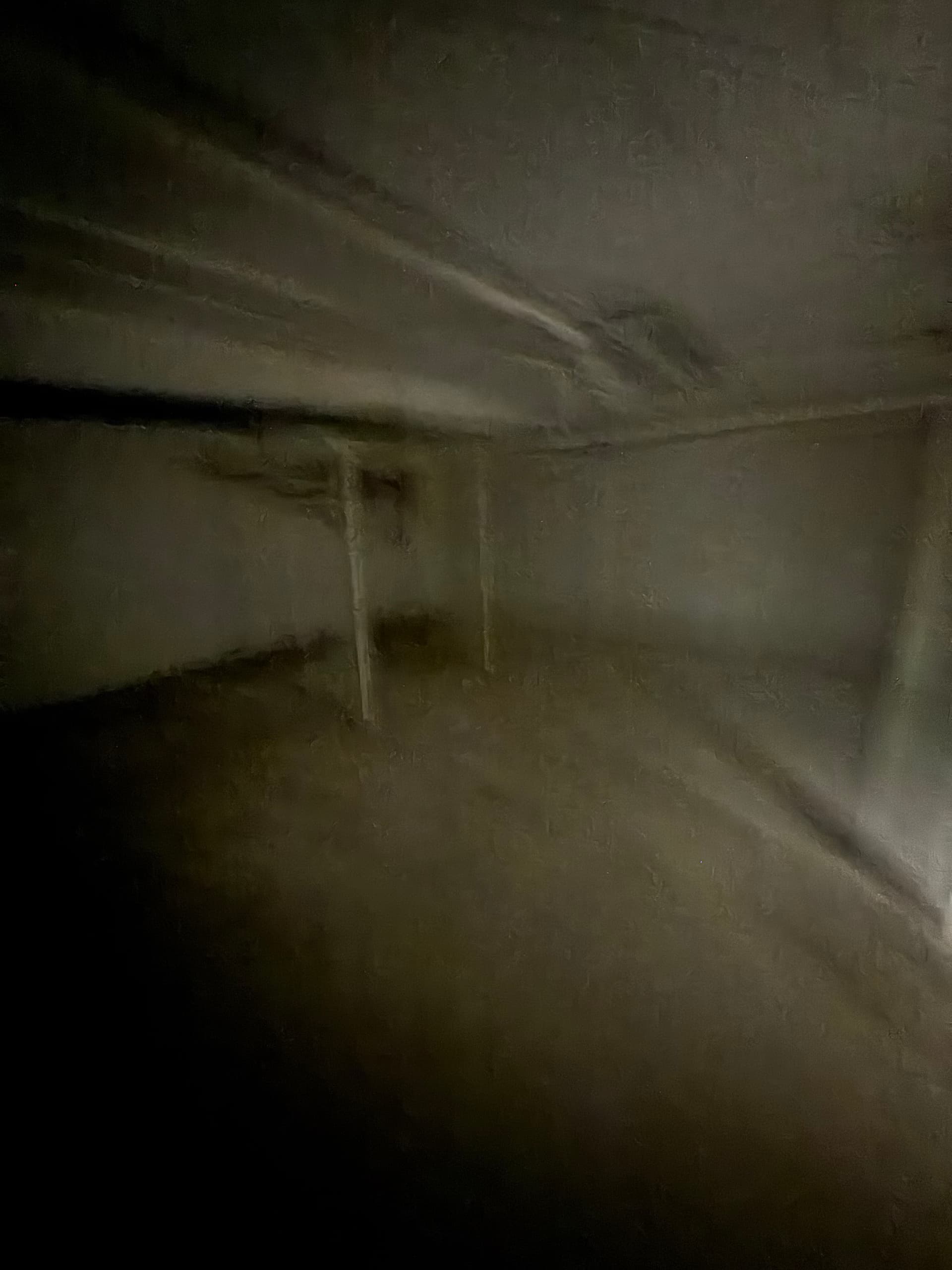 Gallery photos for Commercial Basement Cleanout Done Right: Image #1