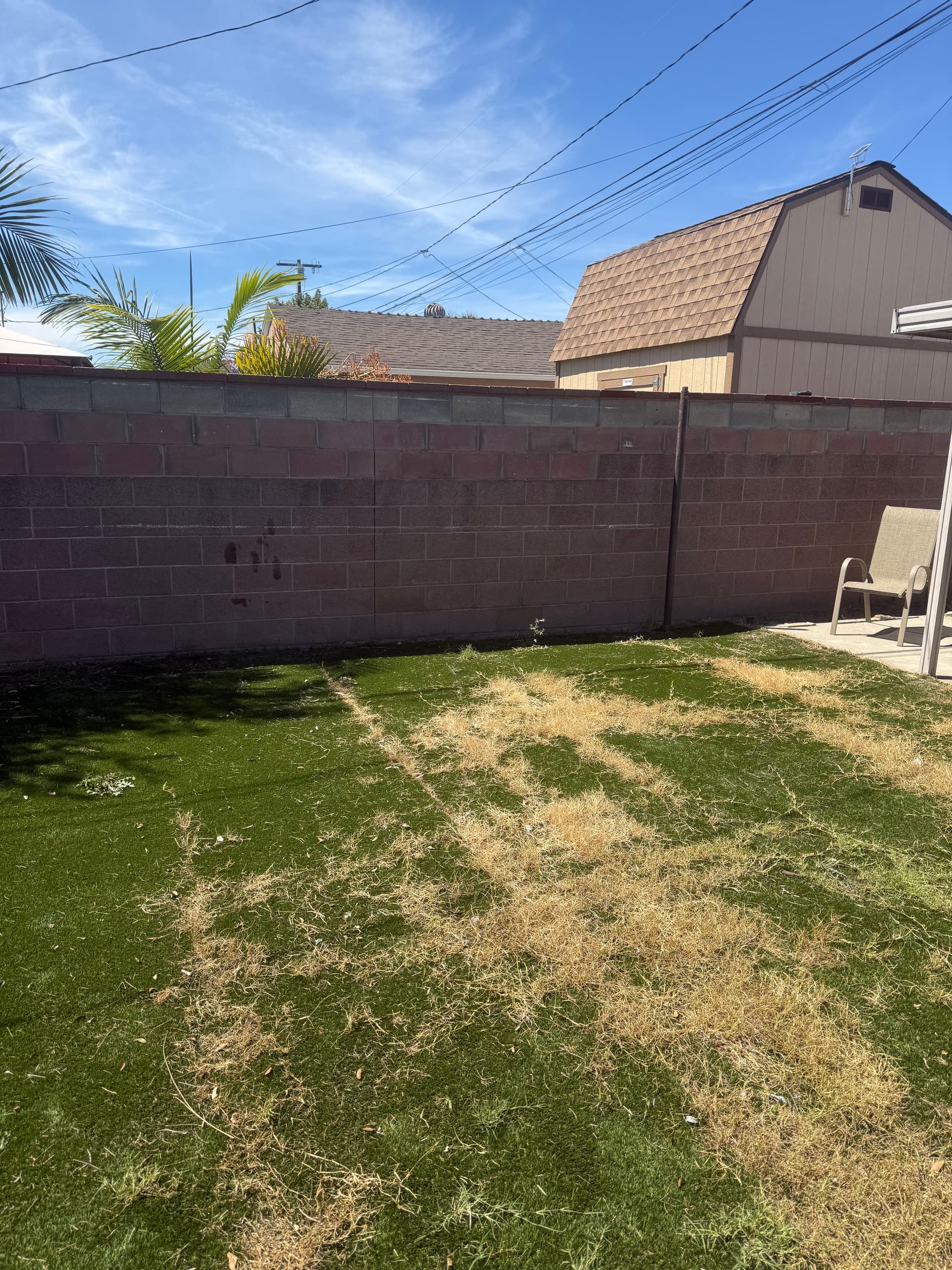 Gallery photos for Backyard Junk Removal Before and After in Lakewood CA: Image #1