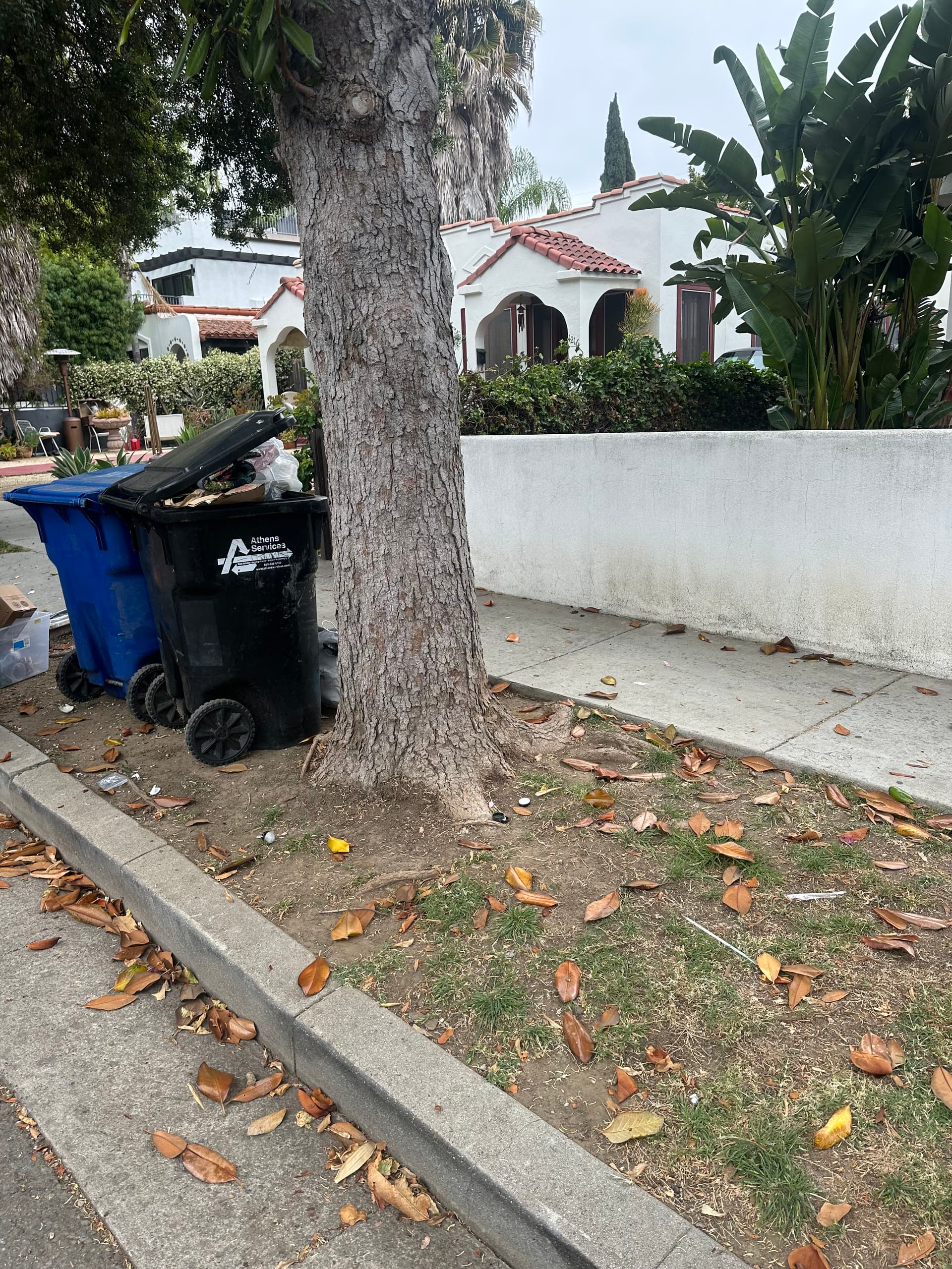 Gallery photos for Junk and Carpet Removal Done Right in Los Angeles: Image #1