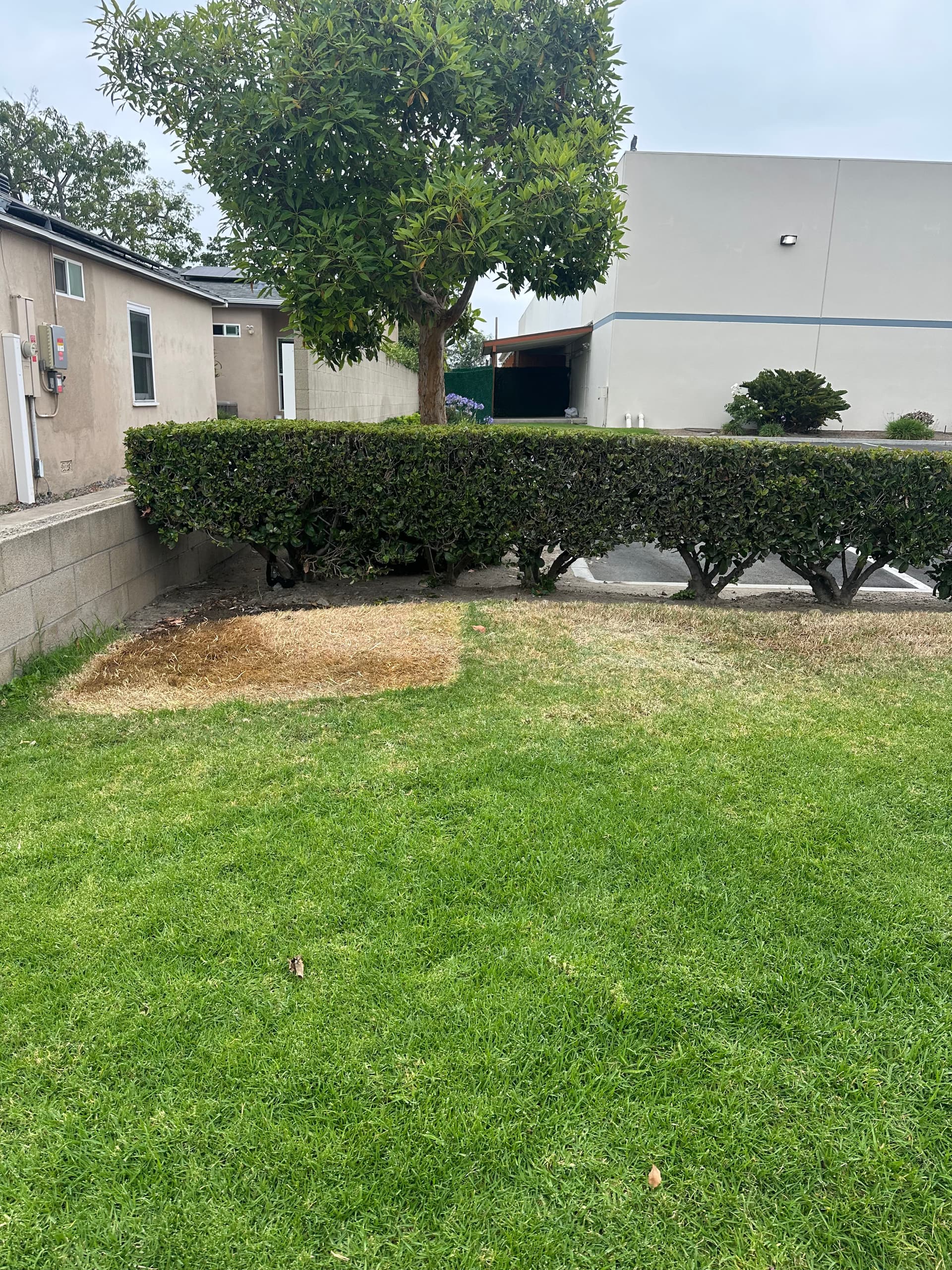 Gallery photos for Mattress and Bed Frame Removal Done Right in Orange CA: Image #1