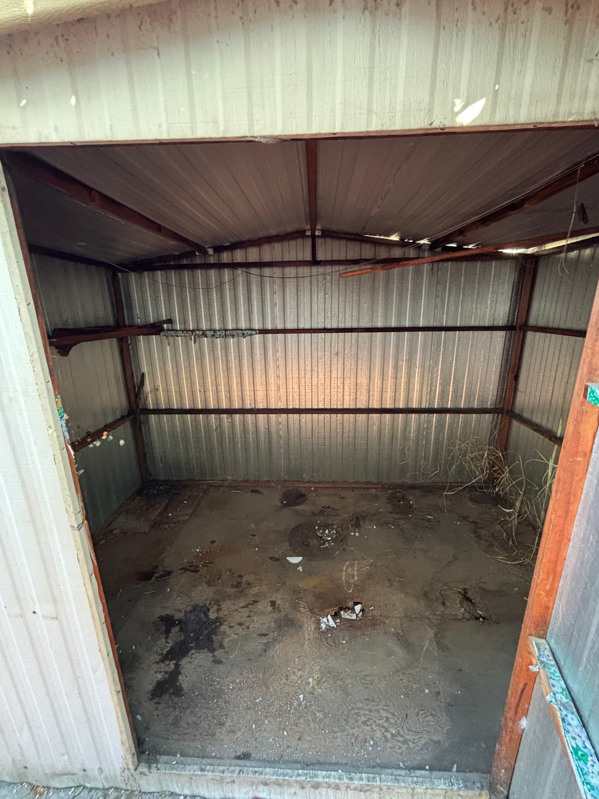 Gallery photos for Shed Cleanout Goes From Buried in Junk to Completely Empty: Image #1