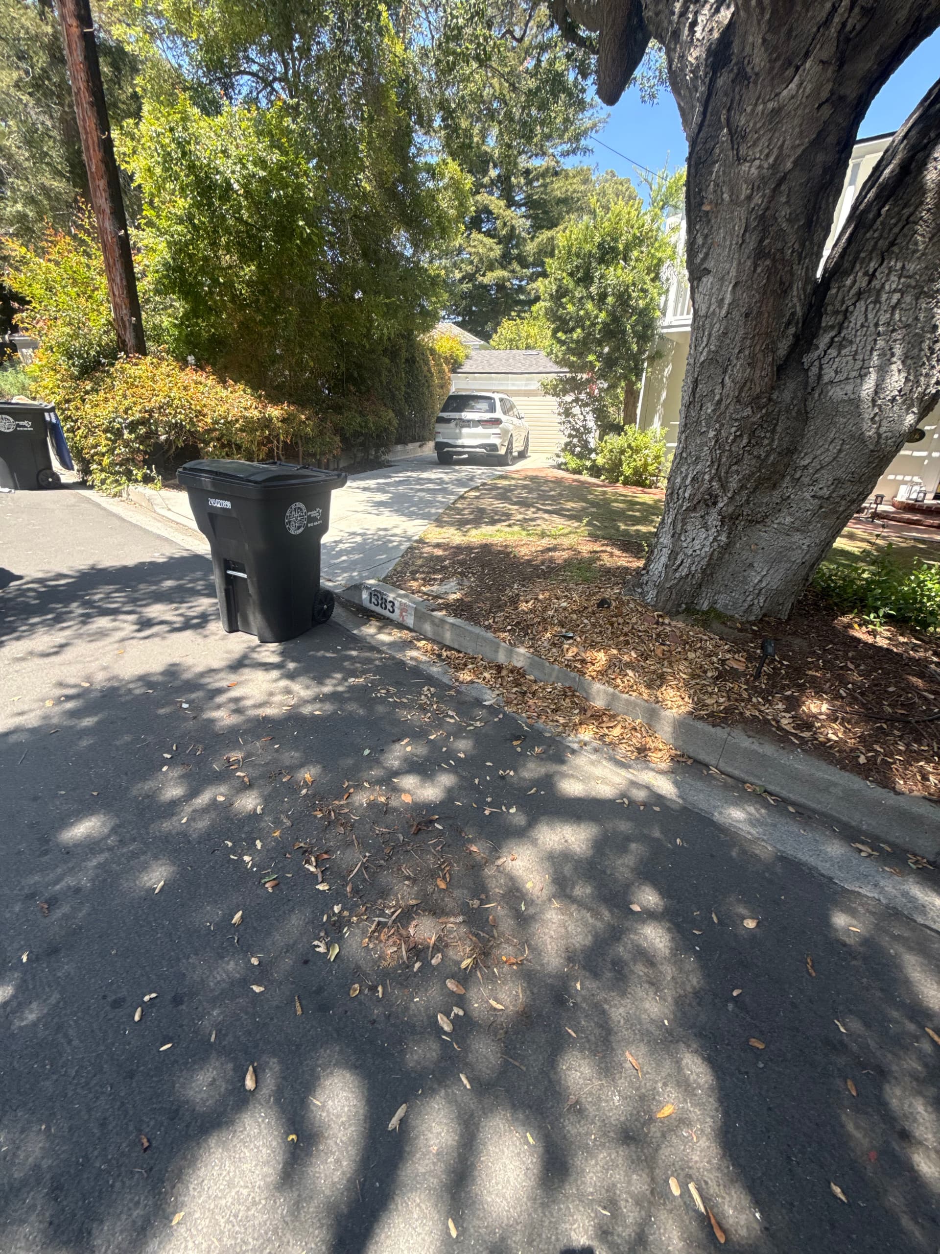 Gallery photos for Old Mattress and Household Junk Cleared Out in Glendale: Image #1
