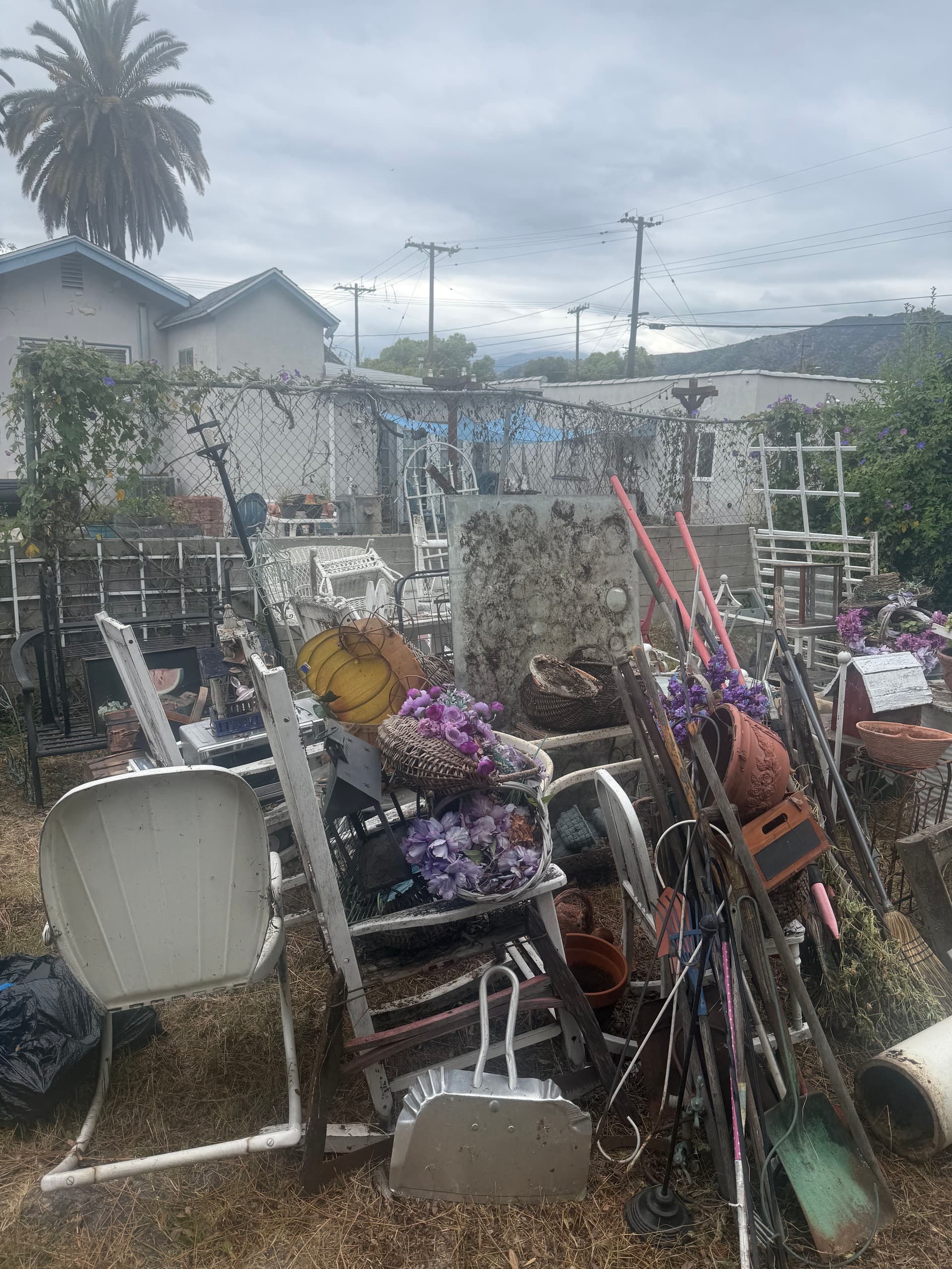 Yard Cleanout Gets Glendora Property Breathing Again image