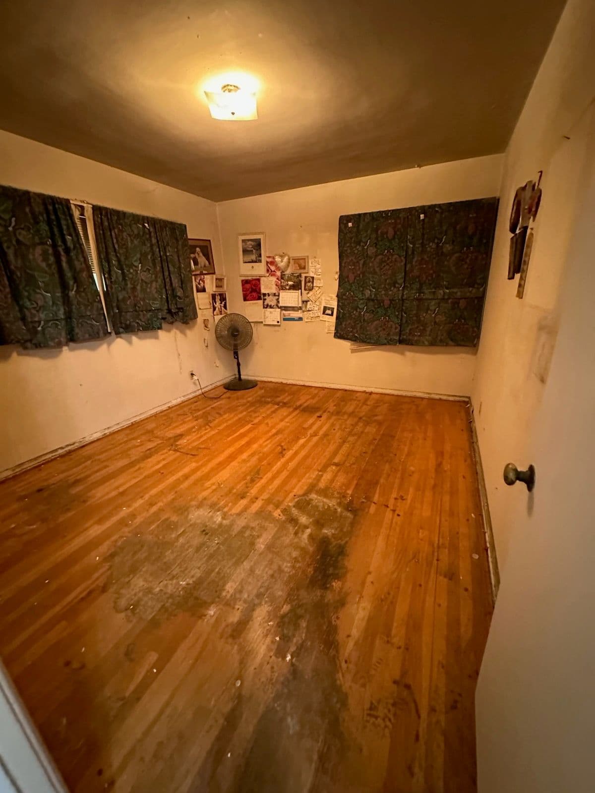 Project Transform Chaos into Comfort with Expert Hoarding Cleanup image
