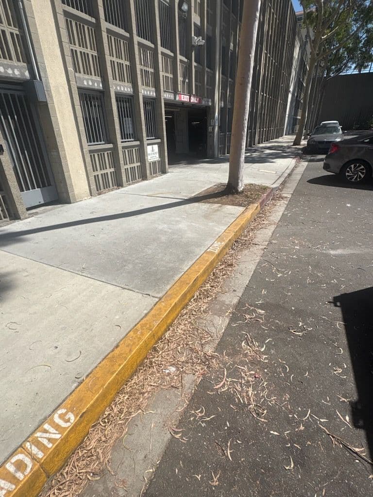 Gallery photos for Transforming Cluttered Spaces in Long Beach: Image #1