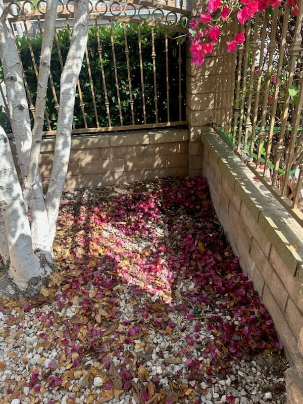 Conquering Clutter in Anaheim Hills