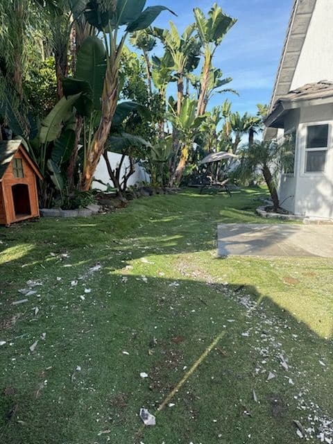 Backyard Clean-Up in Newport Beach