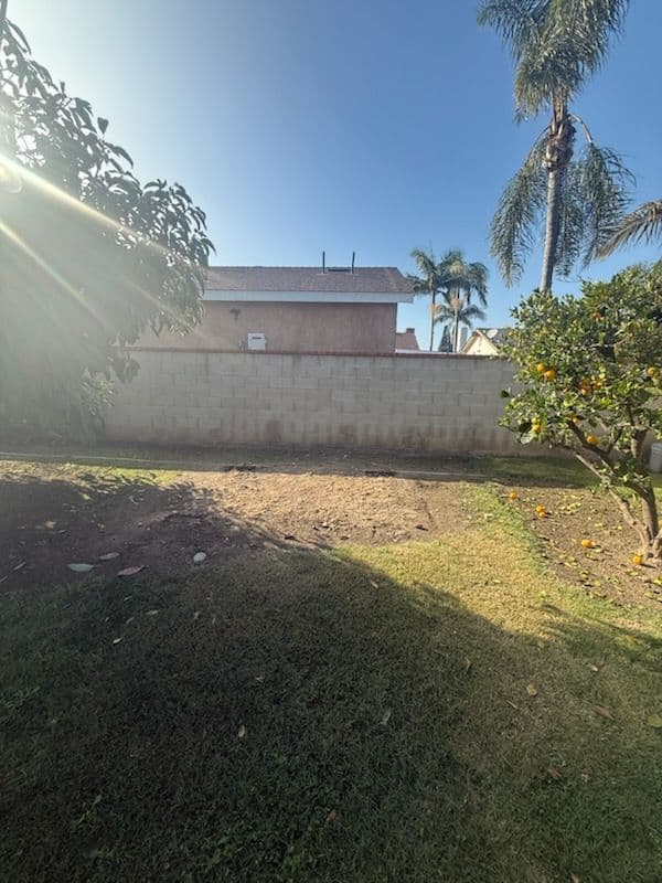 Shed Demolition Project in Santa Ana