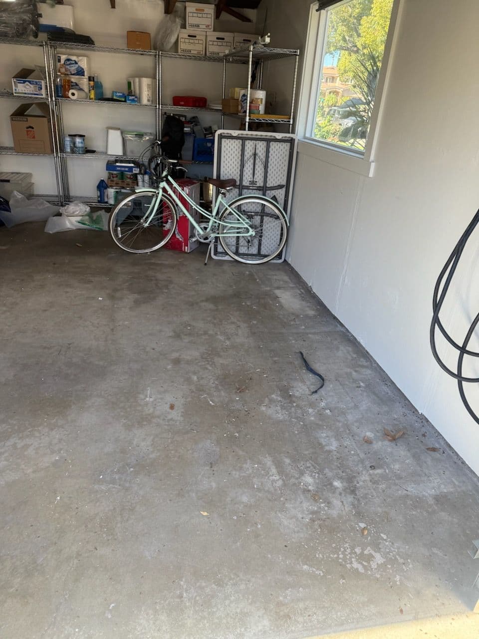 Efficient Garage Clean-Up in Pasadena image