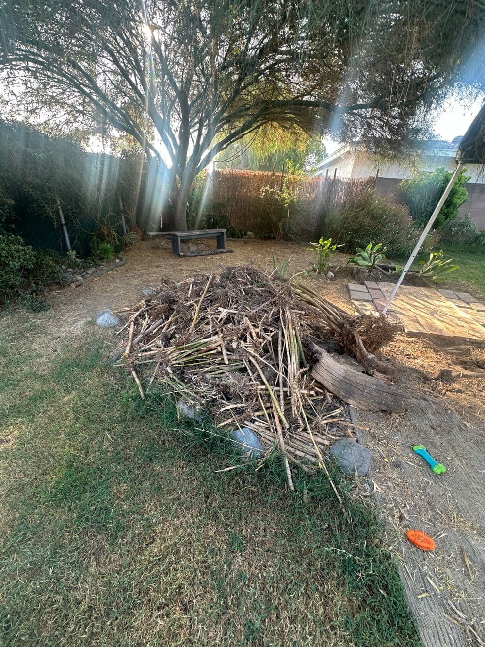 Piled yard waste including branches and grass clippings under a tree in a garden.