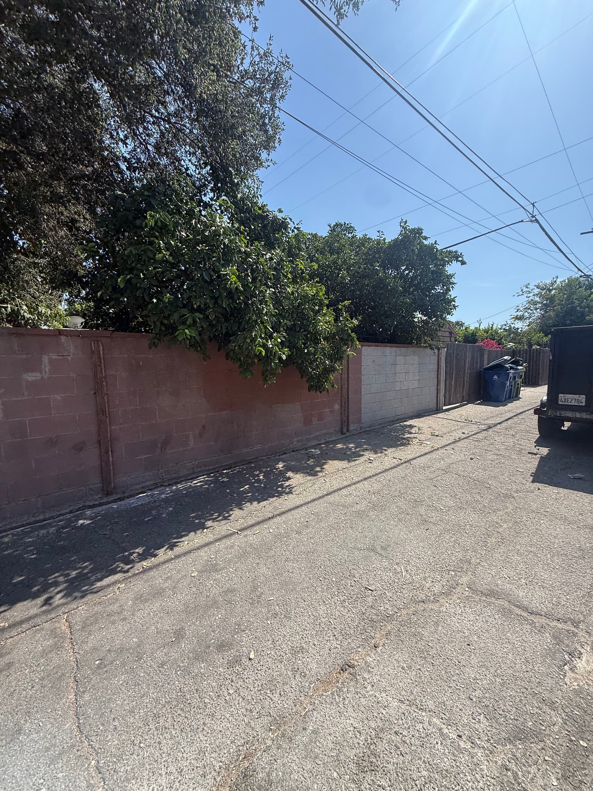Gallery photos for San Fernando Valley Alley Cleanout Done Right: Image #1