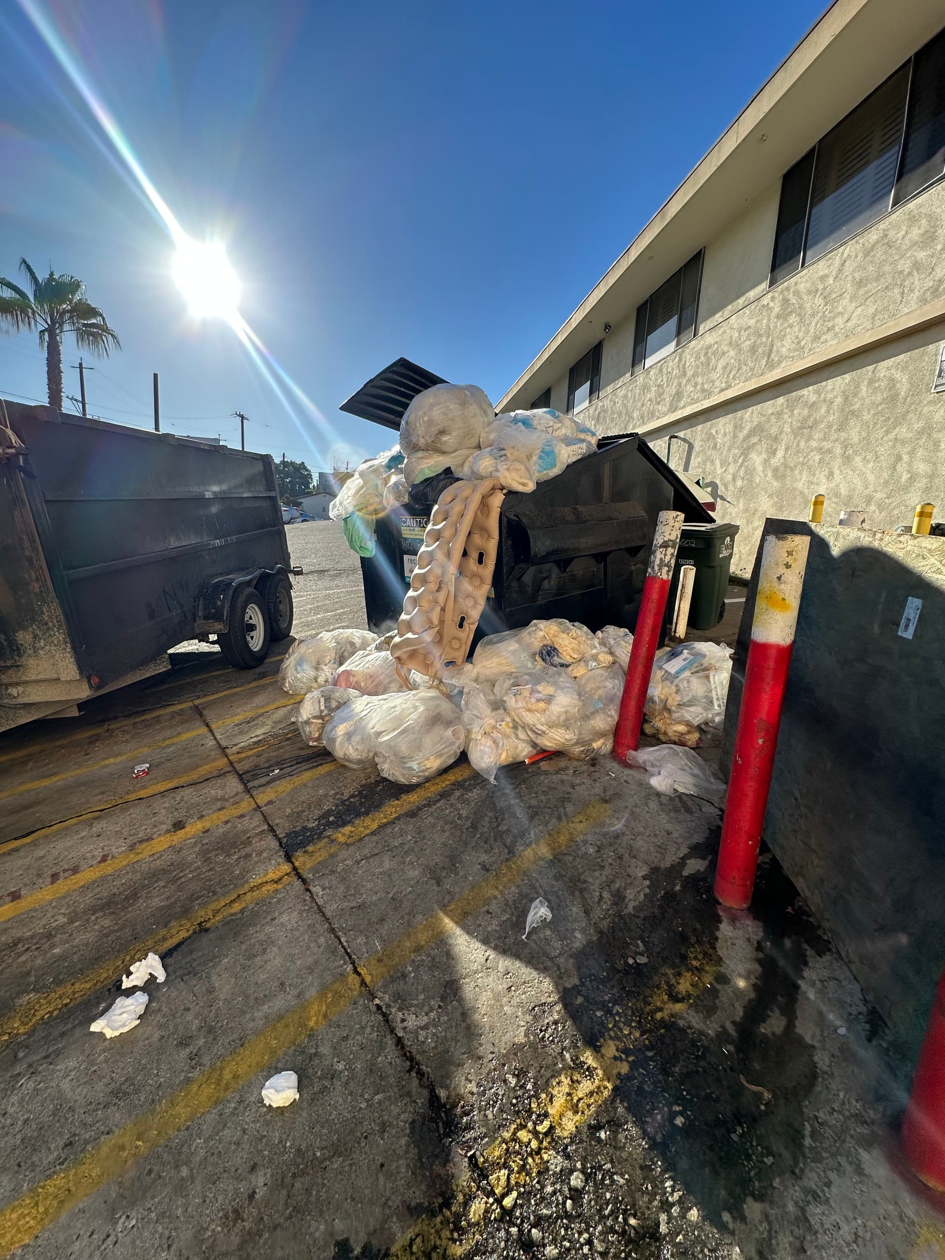 Overflowing Bin Cleanup in Los Feliz image