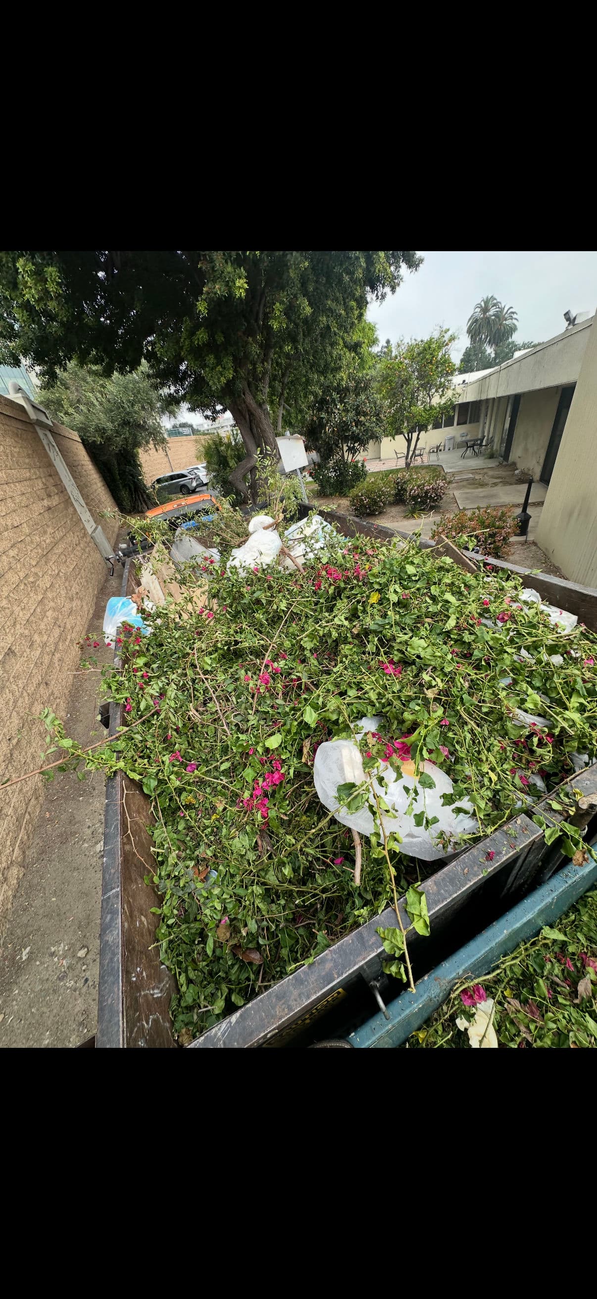 Gallery photos for Trash Overflow and Yard Waste Removal in Orange CA: Image #1