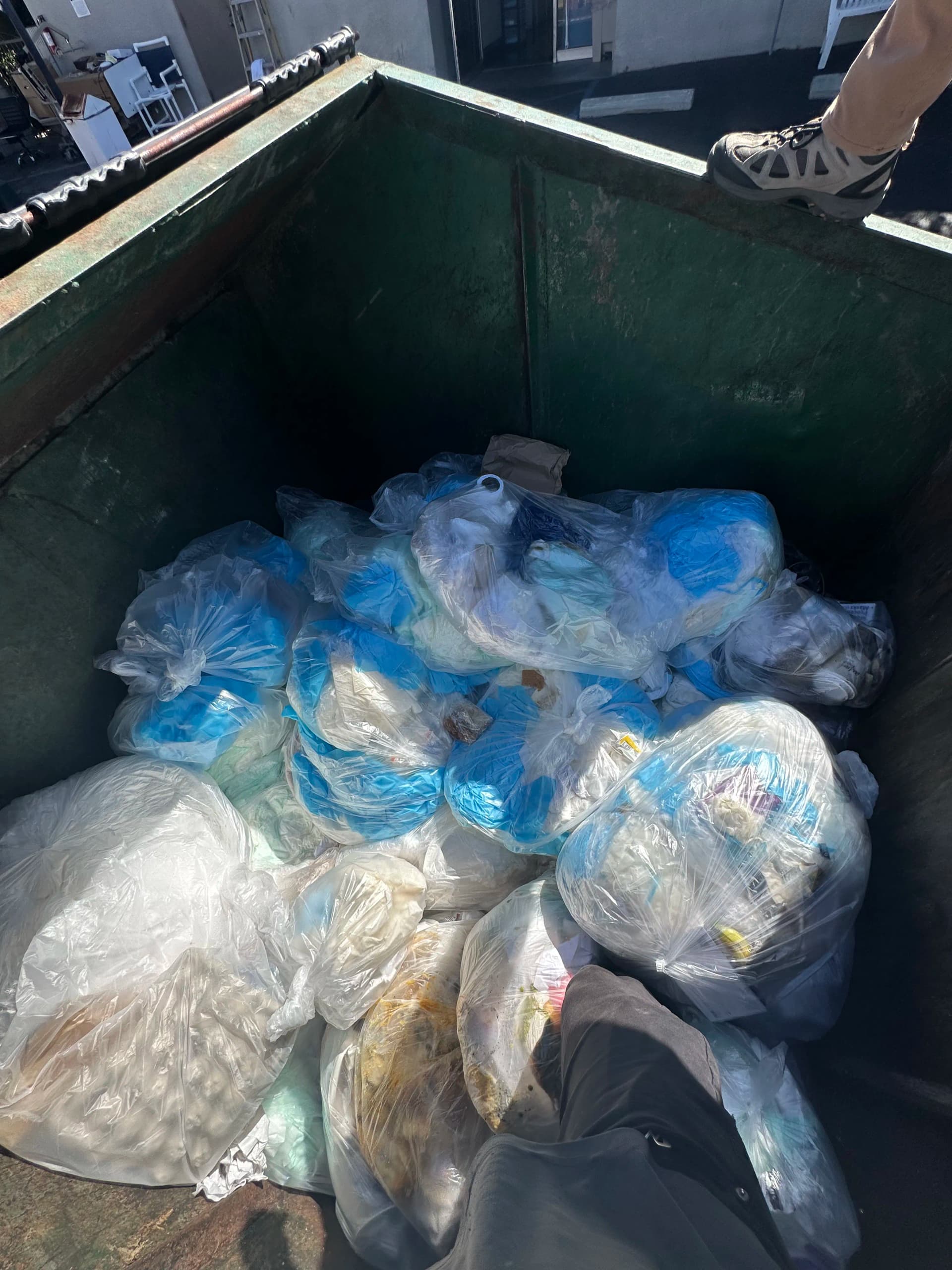 Gallery photos for Los Angeles Trash Pickup Done Right: Image #1