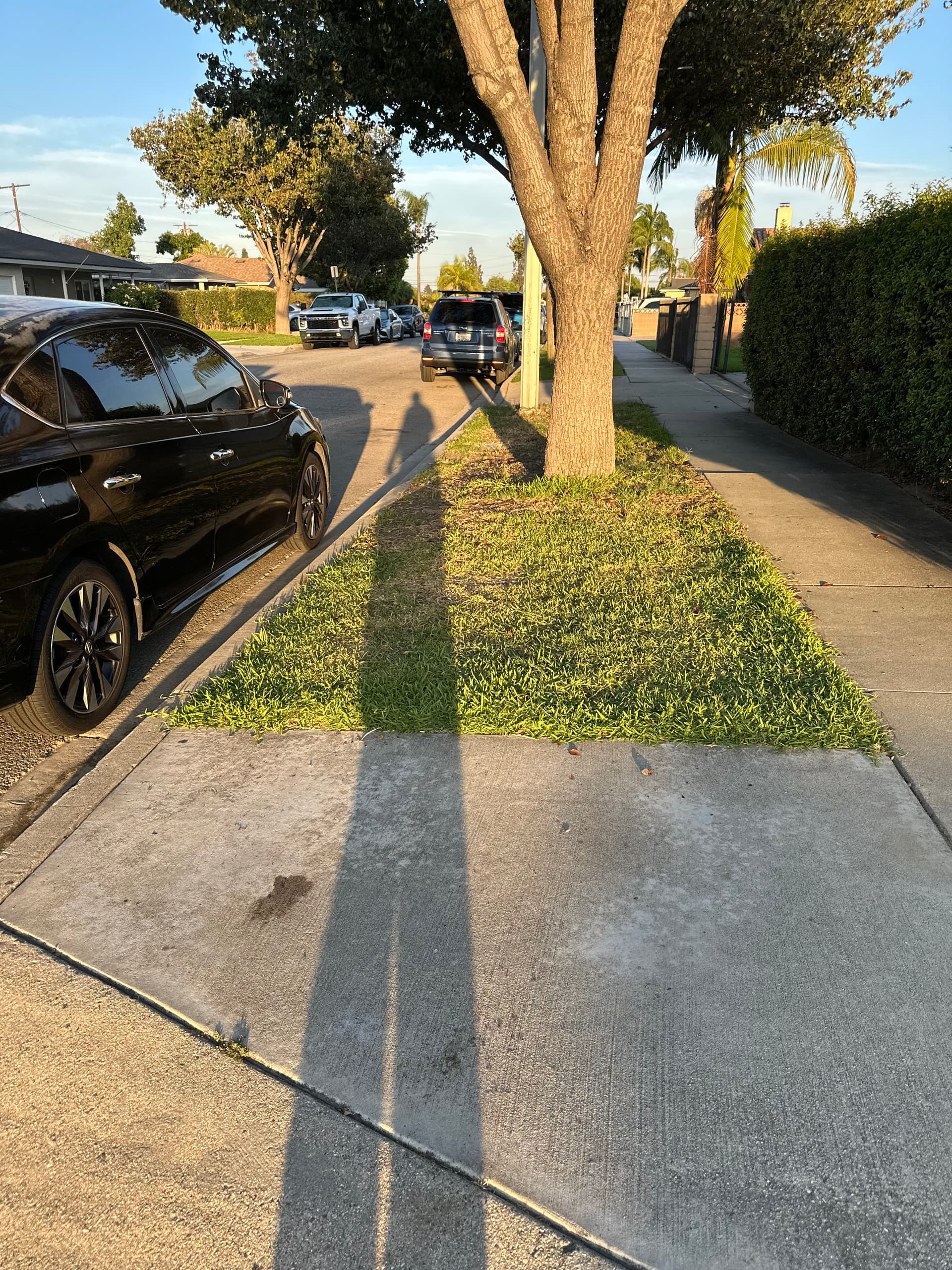 Gallery photos for Garage Cleanout Haul in Pico Rivera - Space Cleared and Curb Ready: Image #1