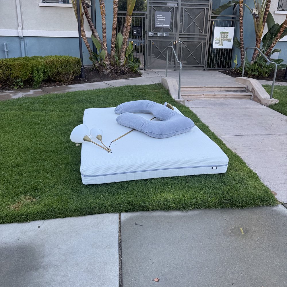 Old mattress and box spring on a front lawn waiting for pickup