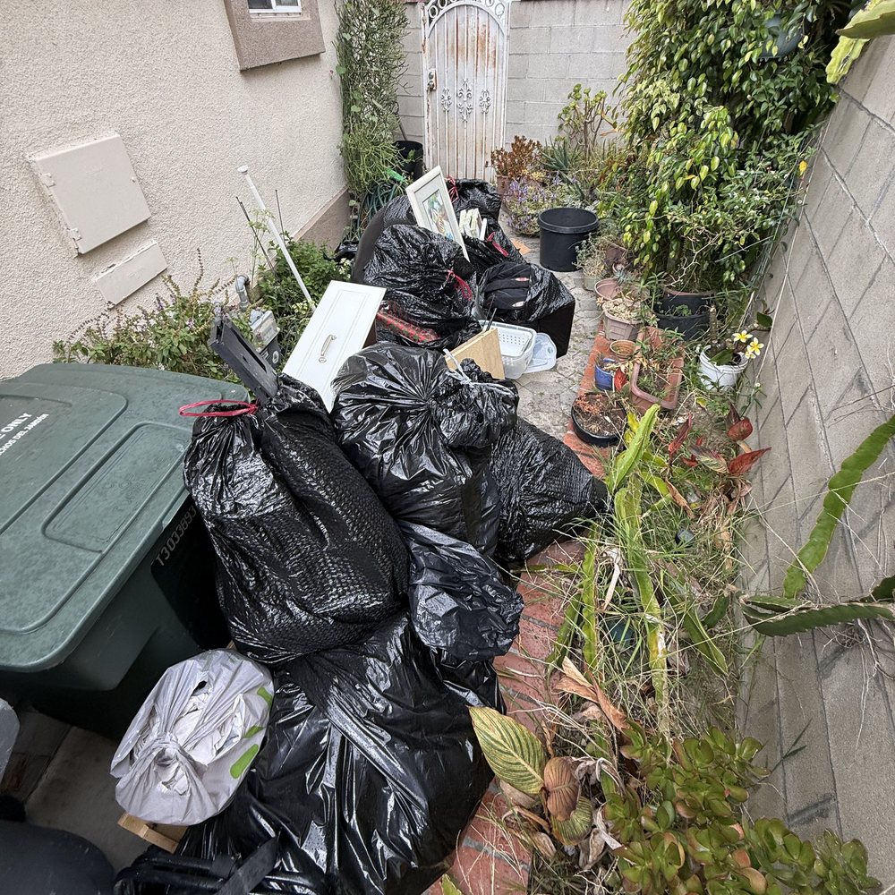 Trash bags and household junk lined up along a side yard
